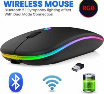 HP W10 HP Bluetooth & Wireless Dual Model Mouse